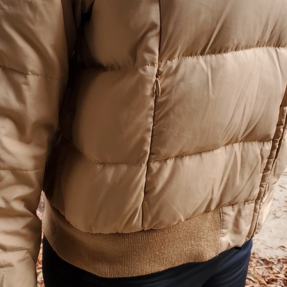 Baby Phat puffer jacket Golden color - Picture 6 of 9